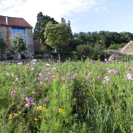 Vineyard Garden Studio Mont-Saint-Jean  Buitenkant foto