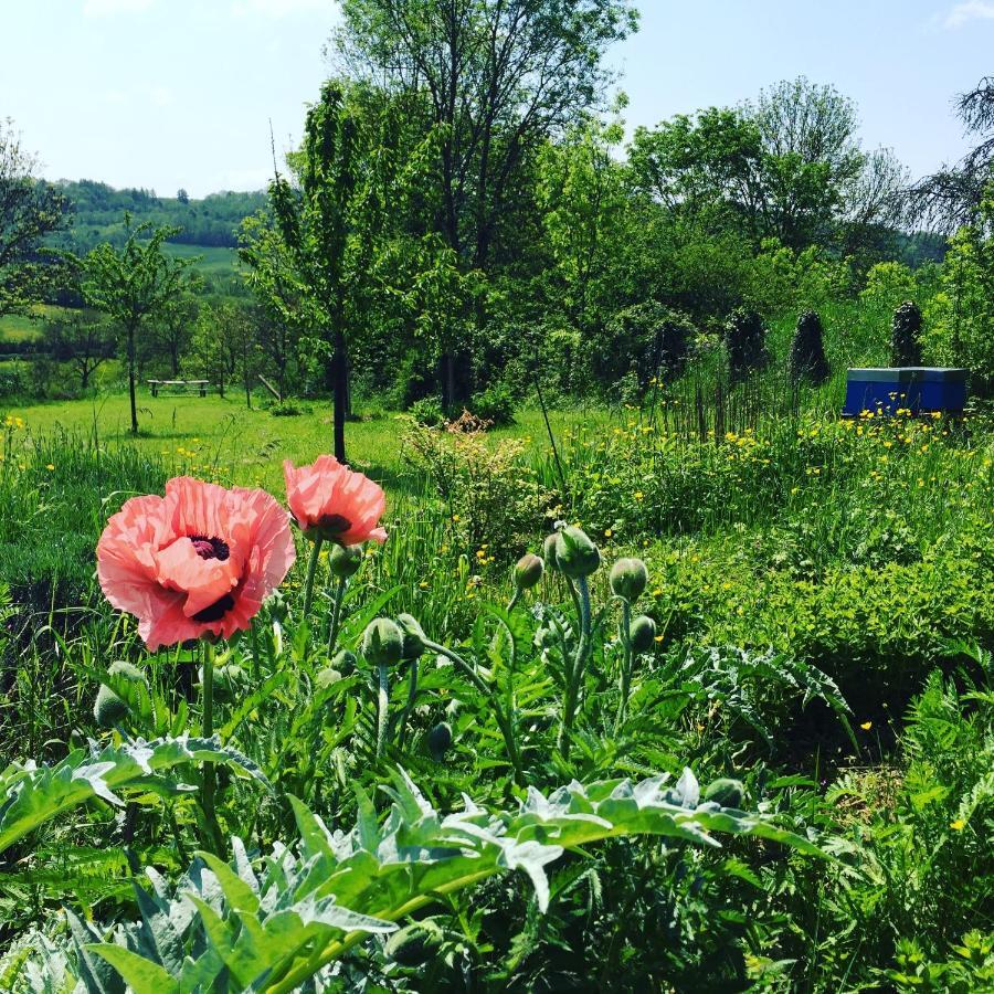 Vineyard Garden Studio Mont-Saint-Jean  Buitenkant foto